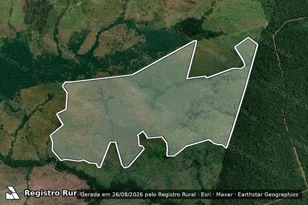 Imagem de satélite de Infração da Flora em Altamira - PA