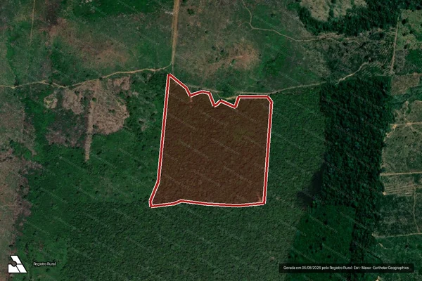 Imagem de satélite de Infração da Flora em Lábrea - AM