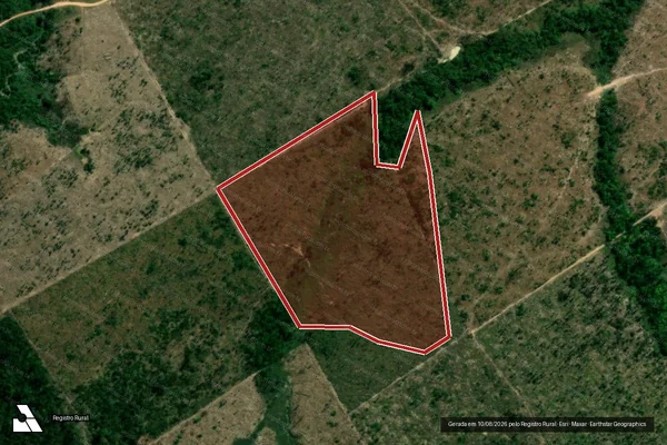 Imagem de satélite de Infração da Flora em Colniza - MT