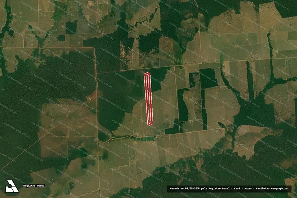 Imagem de satélite — Embargo IBAMA — Infração Ambiental - Alta Floresta D'Oeste/RO