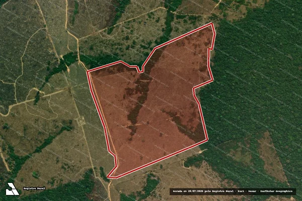 Imagem de satélite de Infração da Flora em Novo Progresso - PA