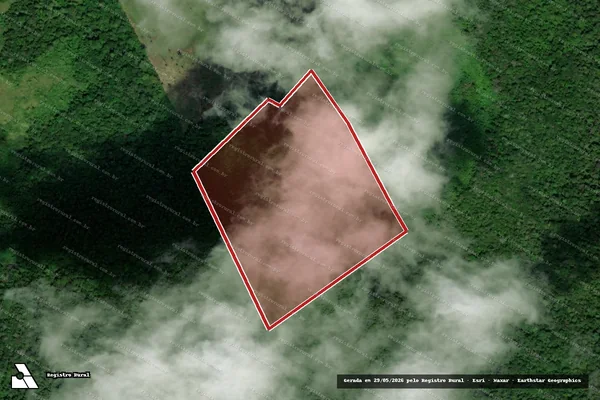 Imagem de satélite — Embargo IBAMA — Infração da Flora - Amajari/RR