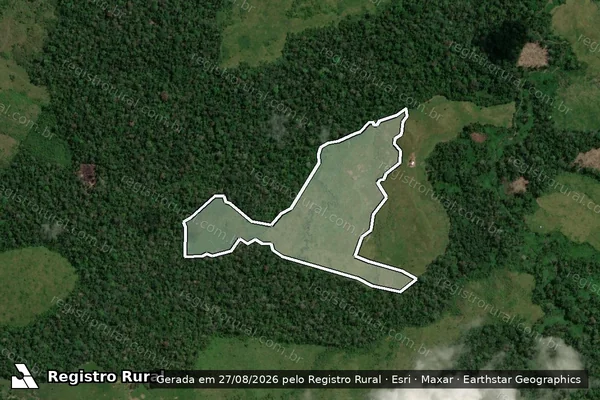 Imagem de satélite de Infração da Flora em Feijó - AC