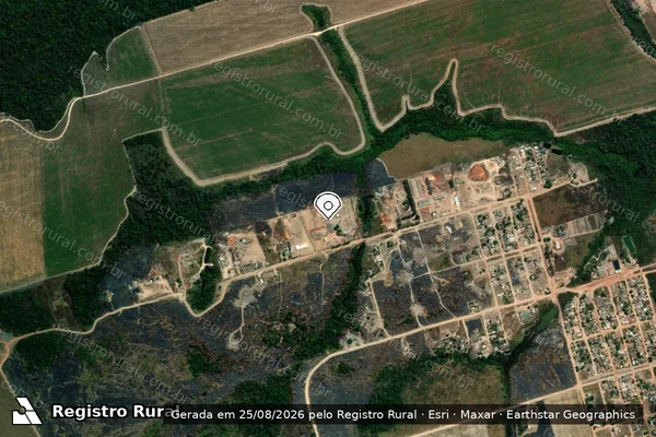 Imagem de satélite de Infração Ambiental em Altamira - PA (marcador da localização)