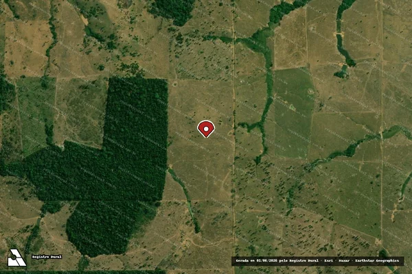 Imagem de satélite de Infração da Flora em Campo Novo de Rondônia - RO (marcador da localização)