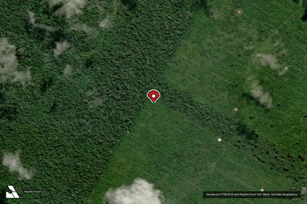Imagem de satélite de Infração Ambiental em Senador José Porfírio - PA (marcador da localização)