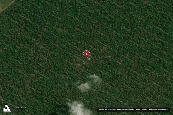 Imagem de satélite de Infração Ambiental em Santarém - PA (marcador da localização)