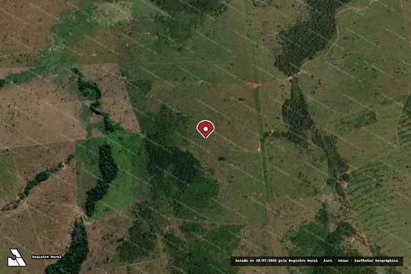 Imagem de satélite de Infração da Flora em Colniza - MT (marcador da localização)