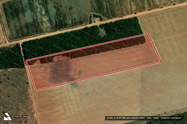 Imagem de satélite de Desmatamento em Santa Cruz do Xingu - MT