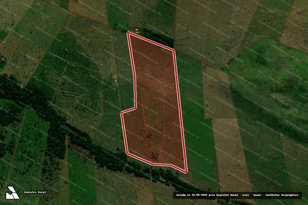 Imagem de satélite de Infração da Flora em Juína - MT