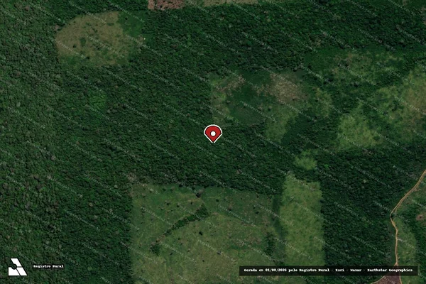Imagem de satélite de Infração Ambiental em Rurópolis - PA (marcador da localização)