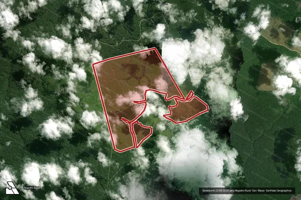 Imagem de satélite de Infração Ambiental em Portel - PA
