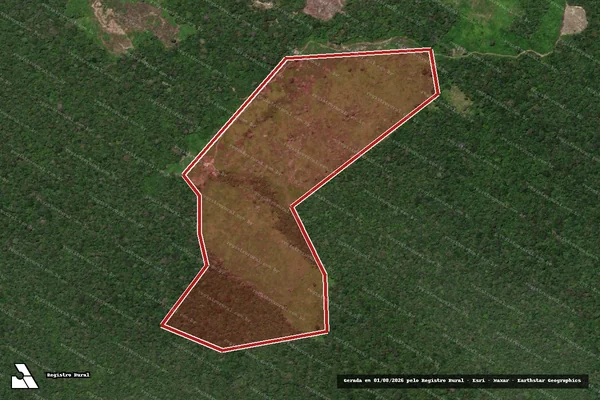 Imagem de satélite de Infração da Flora em São João da Baliza - RR