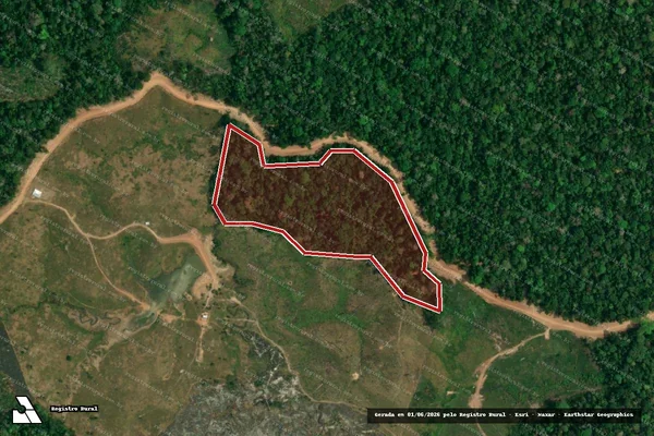 Imagem de satélite de Infração da Flora em Feijó - AC