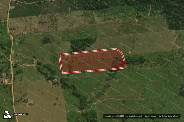 Imagem de satélite de Desmatamento em Campo Novo de Rondônia - RO