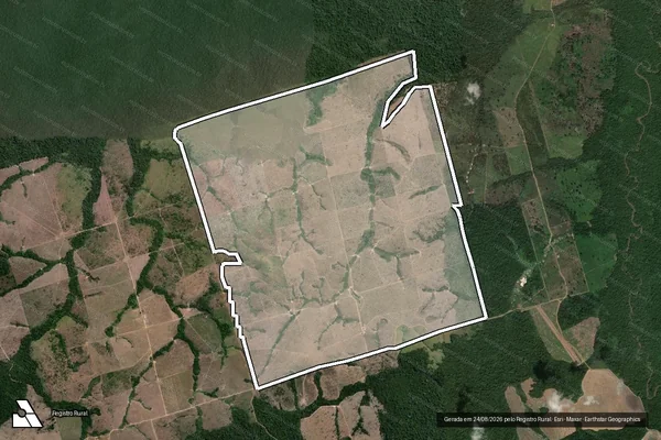 Imagem de satélite de Infração da Flora em Novo Progresso - PA