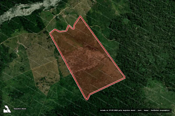 Imagem de satélite de Infração da Flora em Pacajá - PA