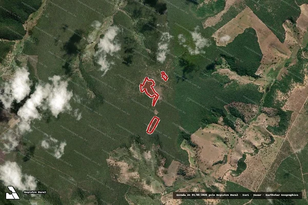 Imagem de satélite de Infração Ambiental em Joaíma - MG