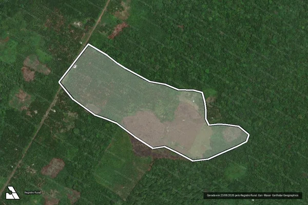 Imagem de satélite — Embargo IBAMA — Infração da Flora — Juruá/AM