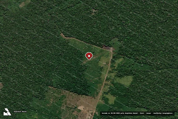 Imagem de satélite — Embargo IBAMA — Infração da Flora — Humaitá/AM