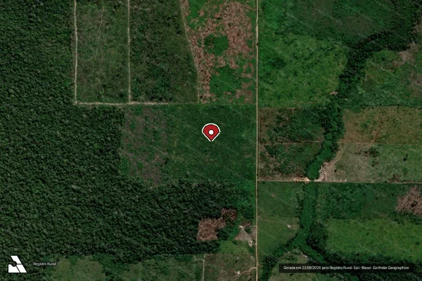 Imagem de satélite de Infração da Flora em Porto Velho - RO (marcador da localização)