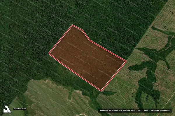 Imagem de satélite — Embargo Ambiental — Santa Fé do Araguaia/TO