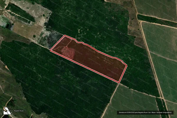 Imagem de satélite de Infração da Flora em São José de Mipibu - RN