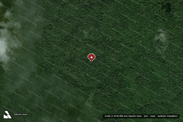 Imagem de satélite de Infração Ambiental em Placas - PA (marcador da localização)