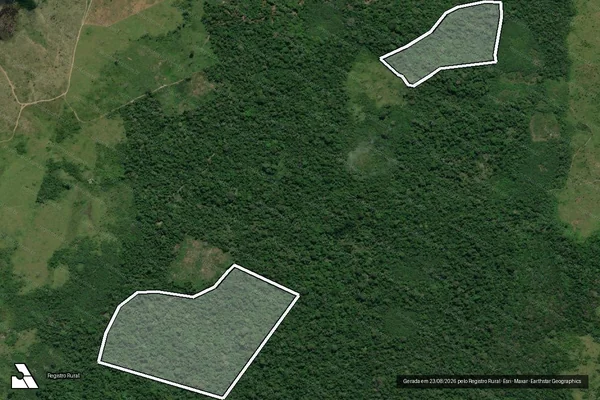 Imagem de satélite de Infração da Flora em Pacajá - PA