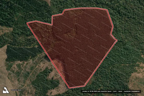 Imagem de satélite de Infração Ambiental em Inácio Martins - PR