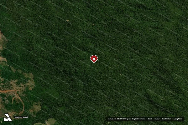 Imagem de satélite de Infração Ambiental em Juína - MT (marcador da localização)