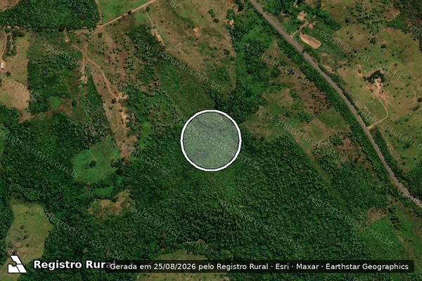 Imagem de satélite — Embargo IBAMA — Desmatamento - Xambioá/TO