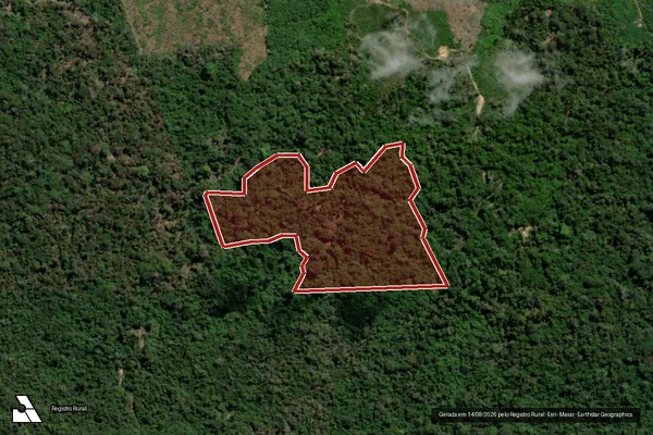 Imagem de satélite de Infração da Flora em São Félix do Xingu - PA