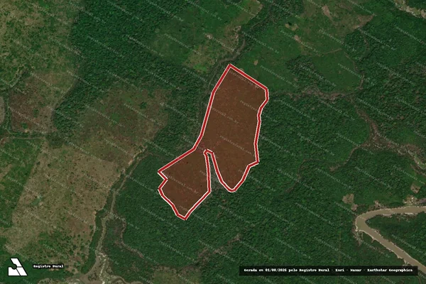Imagem de satélite de Infração da Flora em Itacoatiara - AM