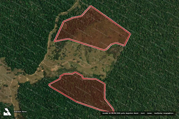 Imagem de satélite de Infração da Flora em Sena Madureira - AC