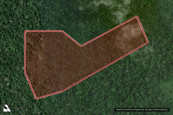Imagem de satélite de Infração da Flora em Feijó - AC