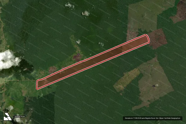 Imagem de satélite de Infração Ambiental em Novo Aripuanã - AM