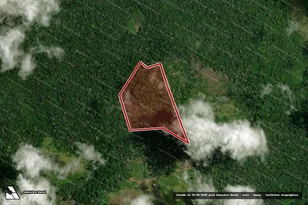 Imagem de satélite de Infração da Flora em Almeirim - PA