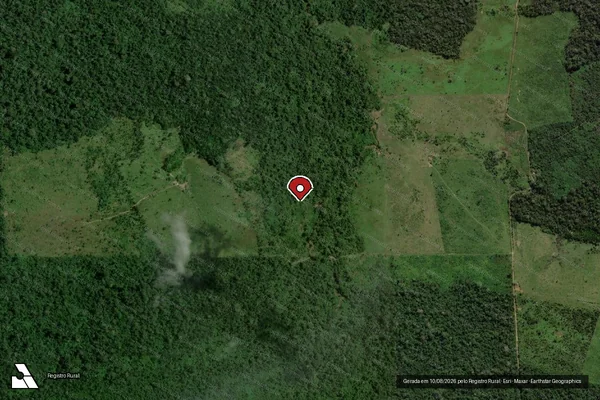 Imagem de satélite de Infração Ambiental em São Félix do Xingu - PA (marcador da localização)