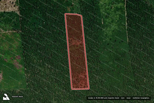 Imagem de satélite de Infração da Flora em Porto Velho - RO