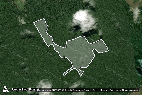 Imagem de satélite de Infração da Flora em Portel - PA