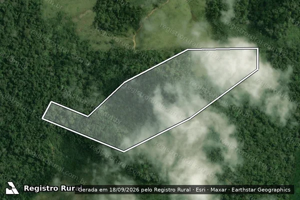 Imagem de satélite — Embargo IBAMA — Infração da Flora - Pacajá/PA