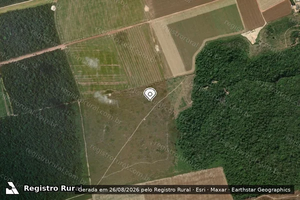 Imagem de satélite de Infração Ambiental em Uruará - PA (marcador da localização)