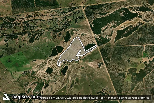 Imagem de satélite de Infração da Flora em Corumbá - MS