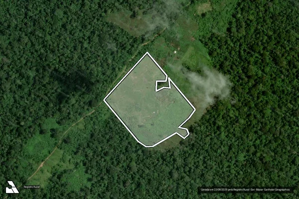 Imagem de satélite de Infração da Flora em Feijó - AC