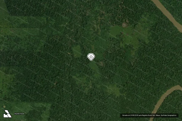 Imagem de satélite de Infração da Flora em Porto Velho - RO (marcador da localização)