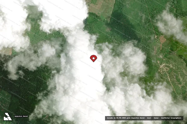 Imagem de satélite de Infração da Flora em Santarém - PA (marcador da localização)
