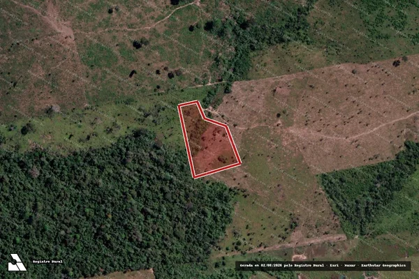 Imagem de satélite de Infração Ambiental em Novo Progresso - PA