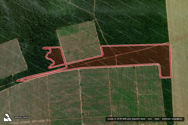 Imagem de satélite de Infração da Flora em Ulianópolis - PA