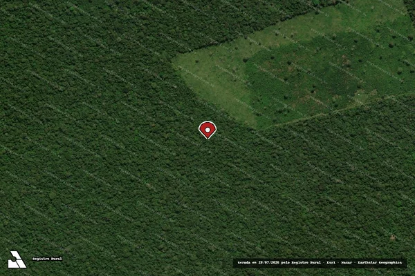 Imagem de satélite de Infração Ambiental em Boca do Acre - AM (marcador da localização)
